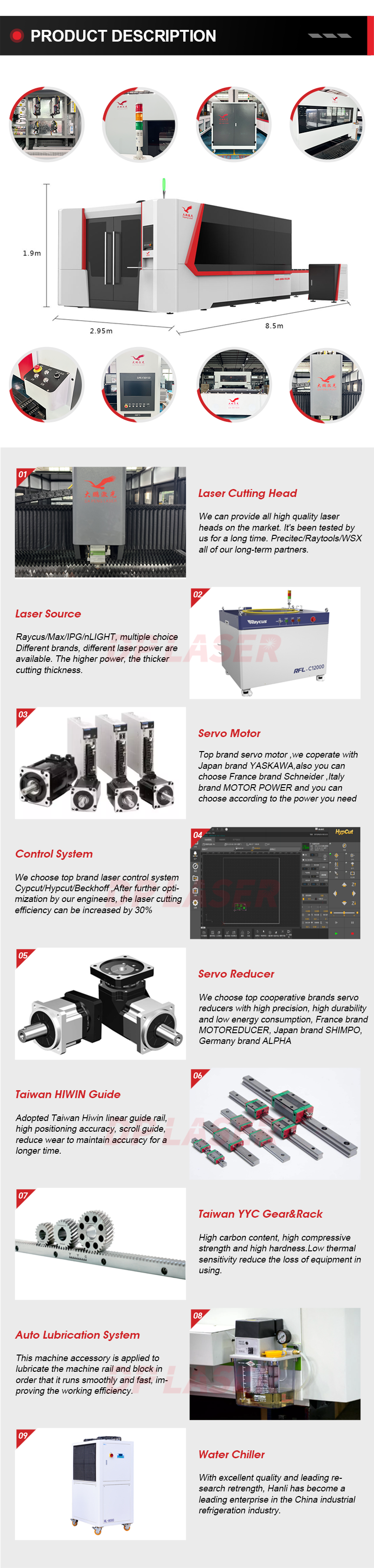 Kèm theo đầy đủ 3015 4015 4020 6015 6020 6025 8025 10025 12025 IPG Raycus MAX nLIGHT Máy cắt laser sợi quang tấm kim loại CNC